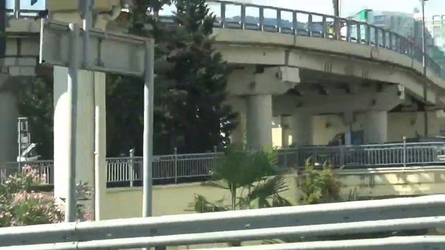 Цветут Олеандры в Сочи🌴 смотреть онлайн