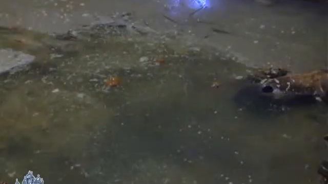 Бахчи Сарайский фонтан смотреть онлайн