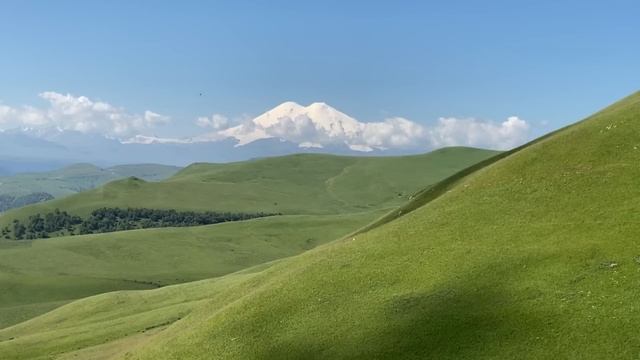 Сын женился, а мне приходится готовить еду для его семьи. Невестка готовить не умеет и учиться не смотреть онлайн