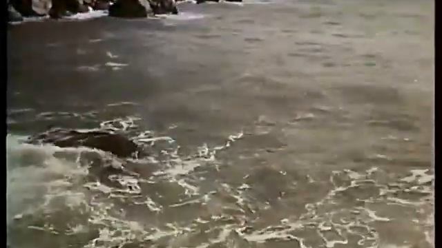 География 7 класс. Моря СССР. Черное и Азовское моря смотреть онлайн