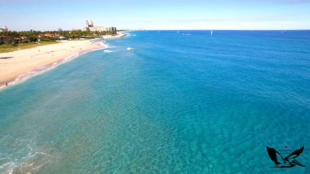 Palm Beach Florida смотреть онлайн