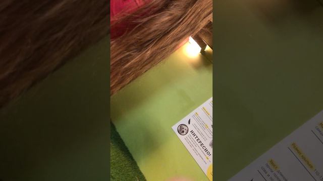 25 января 2024 г. смотреть онлайн