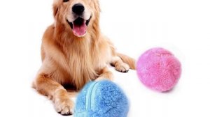 1.ВИРТУАЛЬНЫЕ ИГРУШКИ ДЛЯ ЖИВОТНЫХ. Звук игрушки, звук для собаки, звук для кошки, писк игрушки, ca