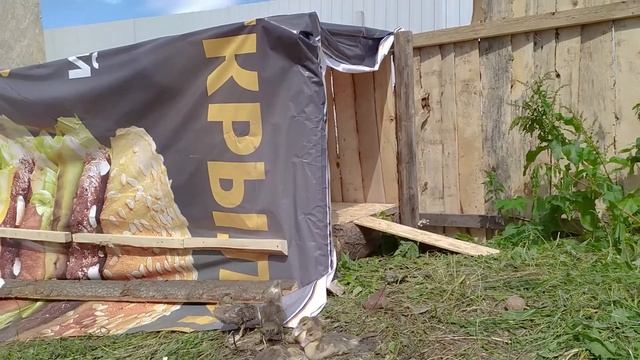 Утятник из горбыля. Обзор смотреть онлайн