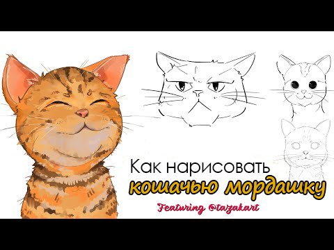 Пошаговый мастер-класс по рисованию кошачьей мордашки с помощью XPPen смотреть онлайн