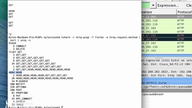 tshark field extraction смотреть онлайн