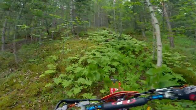 бурелом 2023 серебро ч2 смотреть онлайн