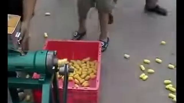 Идея для бизнеса. Изготовление кукурузных палочек на дизельном экструдере смотреть онлайн