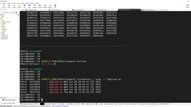 RAC Patching | Check OPatch and Patch Applied in Oracle RAC смотреть онлайн