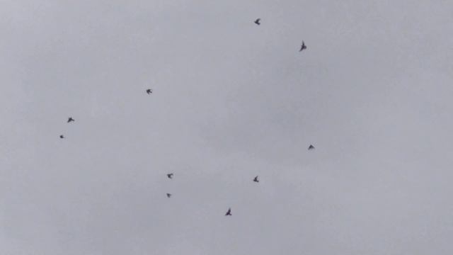 Мои пермечки, небольшая разминка. смотреть онлайн