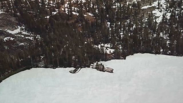 Волчица еле волочила лапы, пошатываясь в глубоком снегу. Но вдруг на дороге появилась она! смотреть онлайн