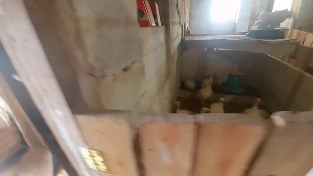 мне нужна ваша помощ смотреть онлайн