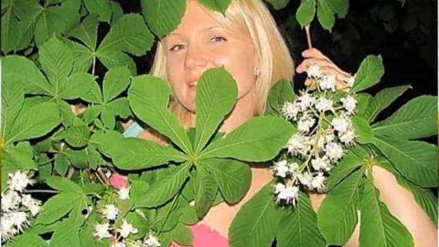 Юрий Осетров. Ромашки. Муз.Ю.Осетрова, сл.В.Дзюба. смотреть онлайн