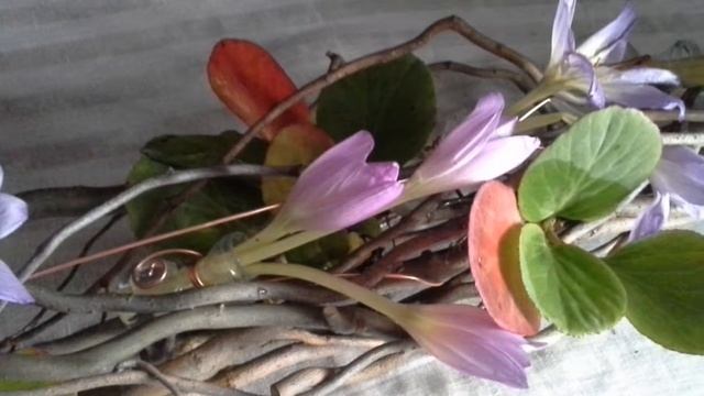 Флористика, дачные цветы 3. смотреть онлайн