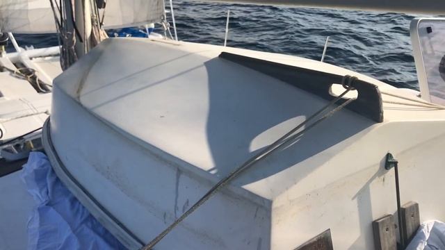 The Dinghy Diaries (Alpha Odyssey #19) смотреть онлайн