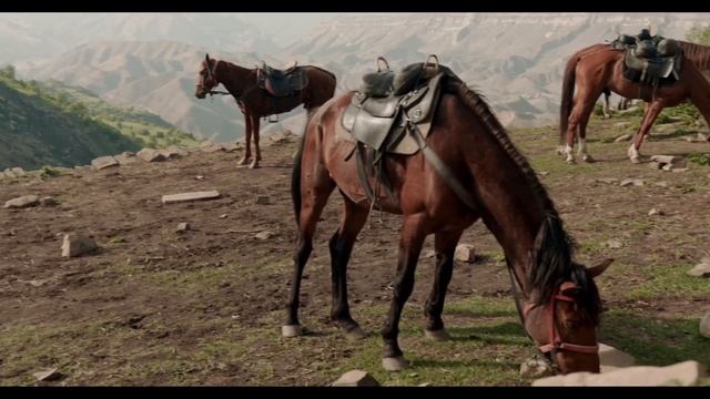 Конные прогулки в Крыму от компании «Подари Всё» смотреть онлайн