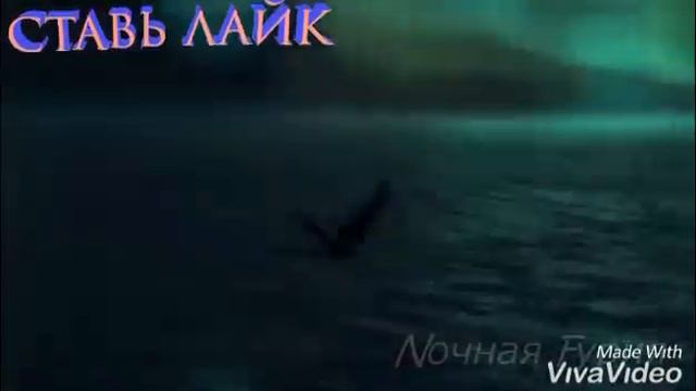 ~Беззубик и Дневная Фурия~Роза~•~Dark•Fury~