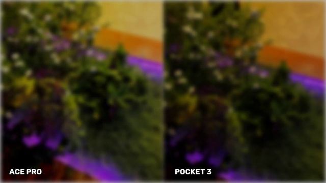 Insta360 ACE Pro VS DJI Pocket 3 | Night Mode Camera Test