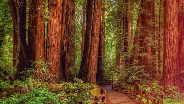 🔊Жизненные истории📖 Я ухожу🏃🏾 от тебя только по тому, что😱 📖Жизненные истории🔊 смотреть онлайн