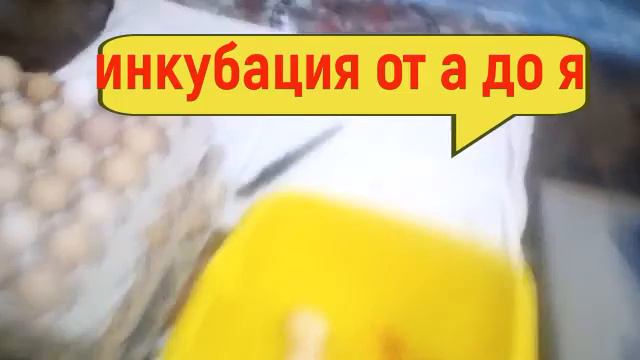 КАНАЛ О ДЕРЕВЕНСКОЙ ЖИЗНИ! У НАС НА КАНАЛЕ ВЫ УВИДИТЕ\\ смотреть онлайн