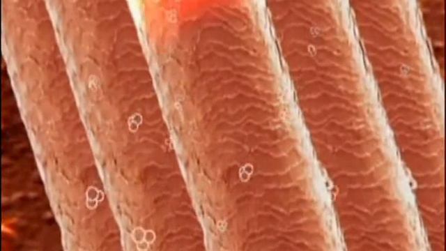 инструкция нанокератин смотреть онлайн