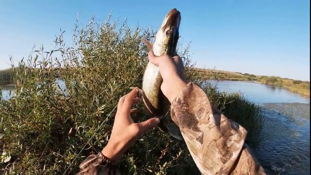 Щука на папловок... смотреть онлайн