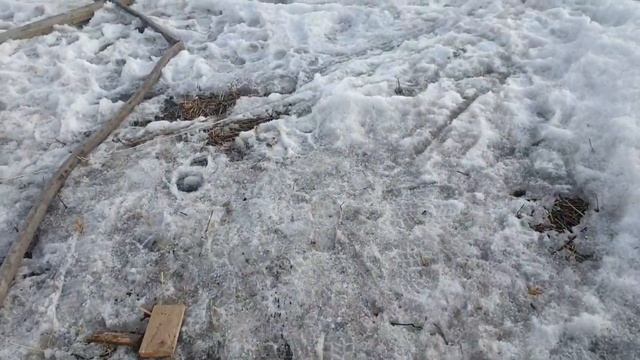 Скважина в Коломне за 2 дня. Пойма р. Мосва. Проходим с бентонитом.