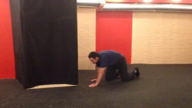 Наблюдение за животными. Медведь смотреть онлайн