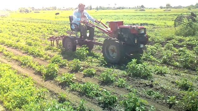 мотоблок заряSH101E смотреть онлайн