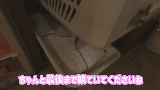 [008] ブラックライトに照らされるあの超有名キャラクターがすごい！ 福岡県那珂川市 ホテル ロワイヤル スカイ リゾート смотреть онлайн