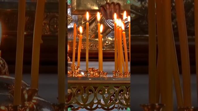 Как Снять Привязки к Мертвецам ✝ ☦ Знахарь-Кирилл ? #shots смотреть онлайн