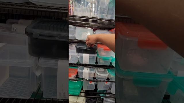 магазин Дёшево и Китай Рулит. Тэди в Германии, euroschop Tedi Deutschland Germany Wagwinner обзор. смотреть онлайн
