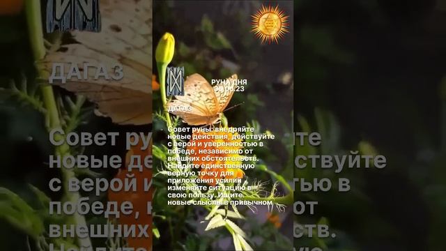 Значение руны ДАГАЗ в комментариях смотреть онлайн