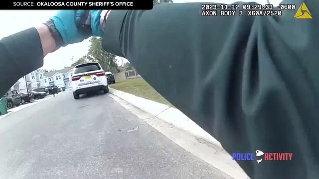 Dumb Cop Fires On Unarmed Man Cause an Acorn Scared Him смотреть онлайн
