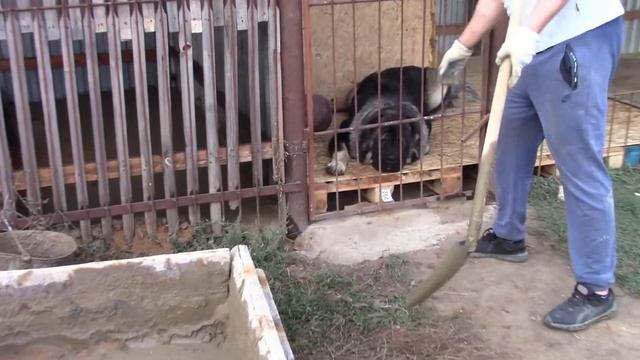 Залил полы бетоном, приготовил себе ужин