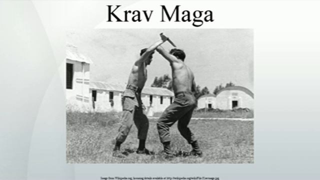 Krav Maga