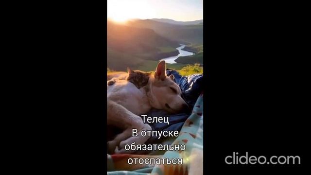 скоро обед 10.08 3 смотреть онлайн