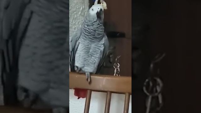 Ну все. Пока Заечка... смотреть онлайн