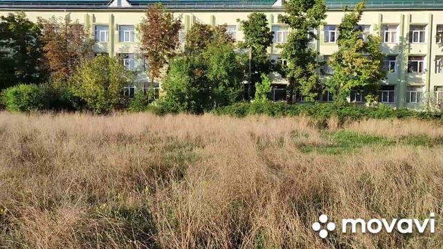 Новоалексеевка сегодня.Херсонская трасса, кошмар!!! смотреть онлайн