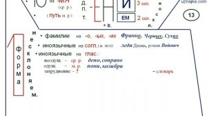 13.  Разносклоняемые , несклоняемые   имена  существительные. Существительные общего  рода