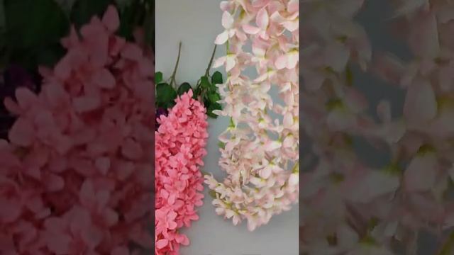 Орхидея ампельная Карибы смотреть онлайн