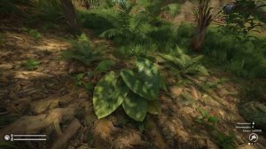 Как ВЫРАЩИВАТЬ РАСТЕНИЯ в GREEN HELL | Гайд