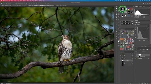 TK8 PLUGIN FOR PHOTOSHOP: Mask Painting Thru Selections-With Practice Image ((NEW UPDATE V 1.1.1)) смотреть онлайн