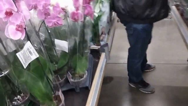 Отопление: техника и тонкости эффективности