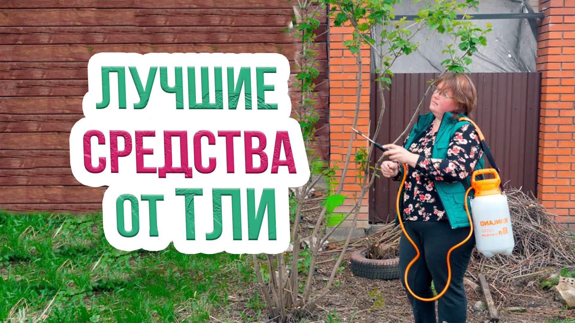 Как избавиться от тли в саду и огороде? Эффективные средства для защиты растений от тли смотреть онлайн