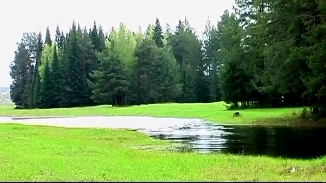 Клещевой энцефалит (римейк)