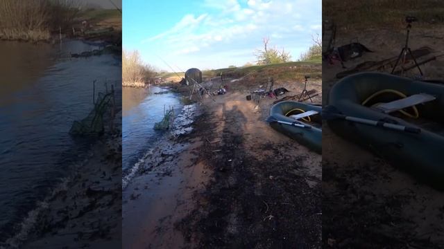 InShot_20230430_204848471.mp4 смотреть онлайн