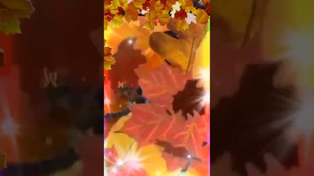 Доброго октябрьского утра смотреть онлайн