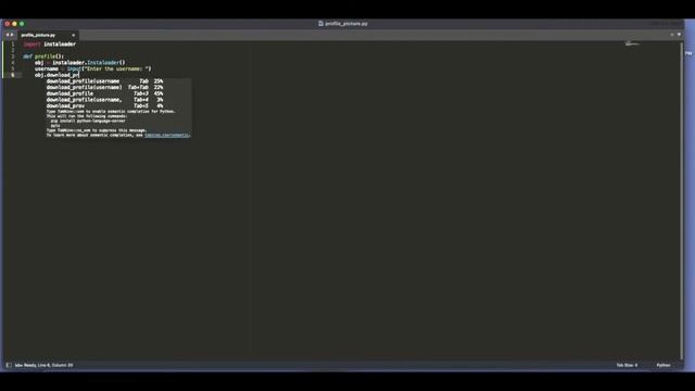 Building a Instagram DP Downloader Using Python | Python Projects Beginners смотреть онлайн