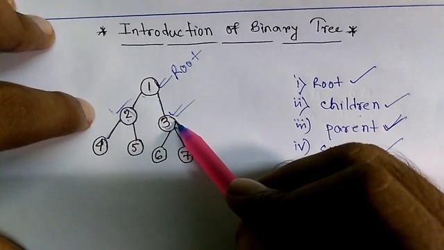 Binary tree: Root,parent, children, Leaf node, Sibling, смотреть онлайн